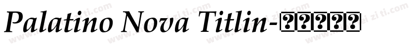 Palatino Nova Titlin字体转换